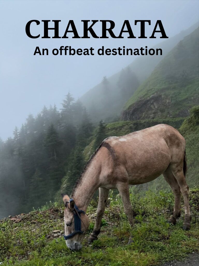 Chakrata: An Offbeat Destination